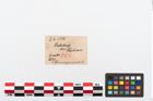 Etikett zu Bronzemehrkopfnadel (NHMW-PRAE-024558)